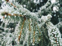 Фото зимы: подборка красивых зимних фото 2018