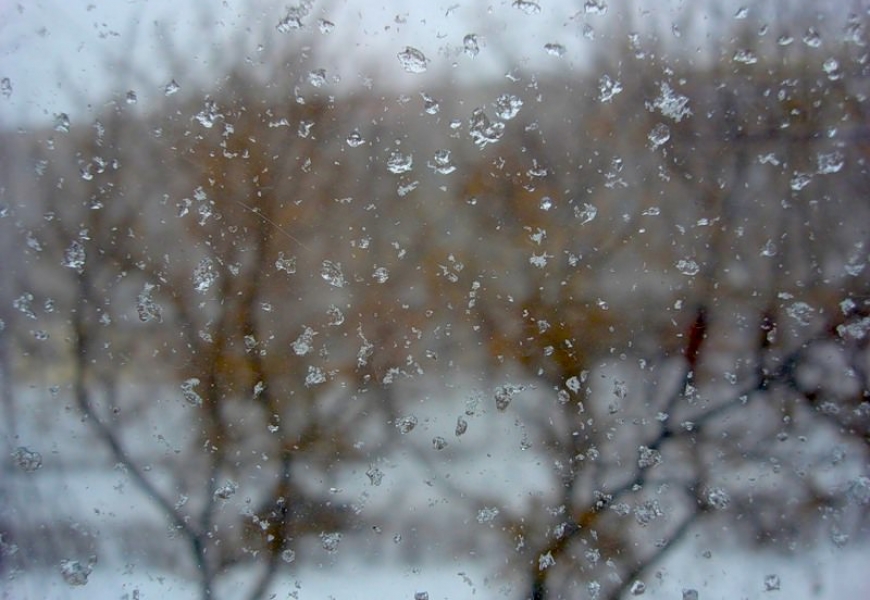 На 29 октября объявлен оранжевый уровень опасности