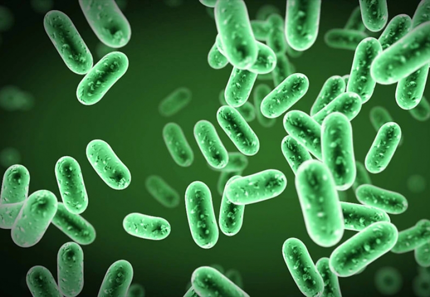 Создан уникальный тест для определения бактерий, заразивших организм