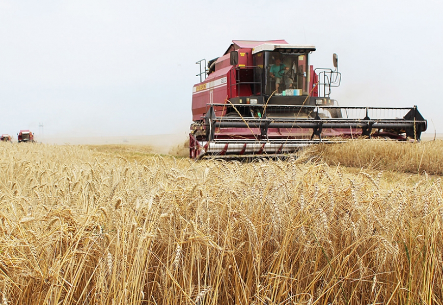 В Беларуси ожидается серьезный рост цен на мясо и молоко