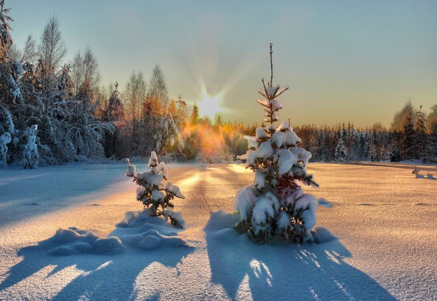 В Беларуси на неделе ожидается до -18 °С