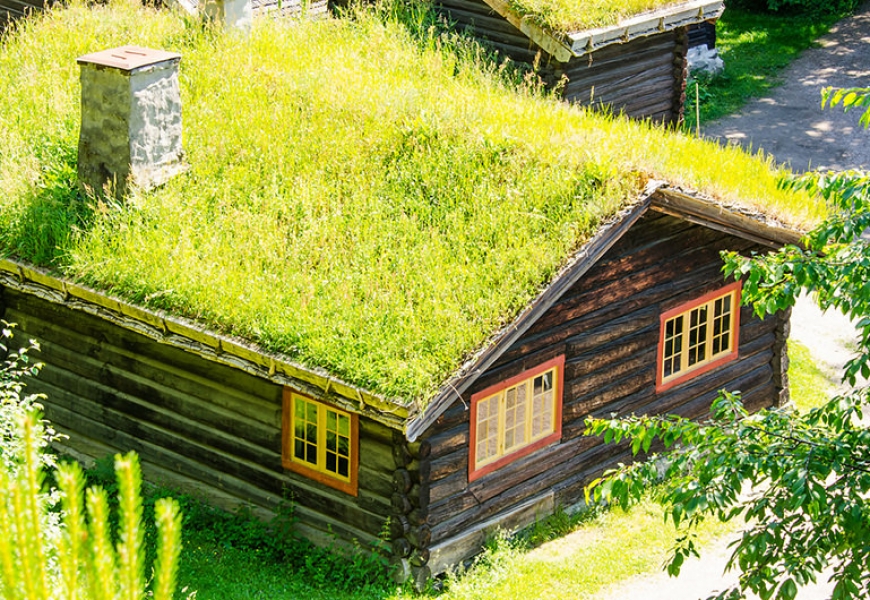 На крышах Амстердама вырастут сады-кондиционеры