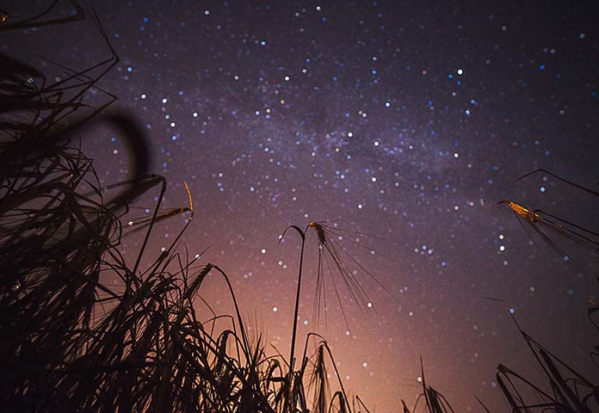 Хороший сон положительно сказывается на успеваемости учащихся