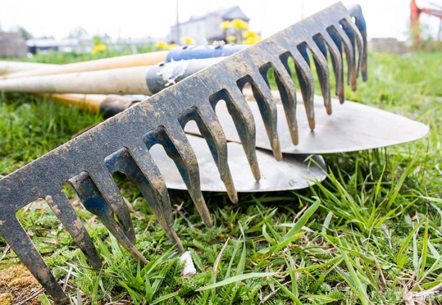 20 апреля в Беларуси пройдет Республиканский субботник