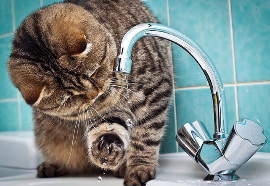 C 1 июня в Беларуси дорожает горячая вода и отопление