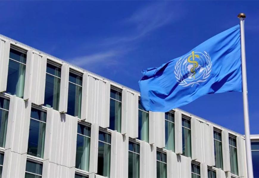 ВОЗ также высоко оценила действия Беларуси в борьбе с кронавирусом