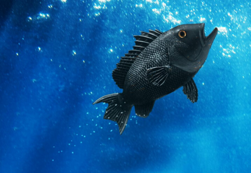 Ученые обнаружили ультра черную рыбу-невидимку