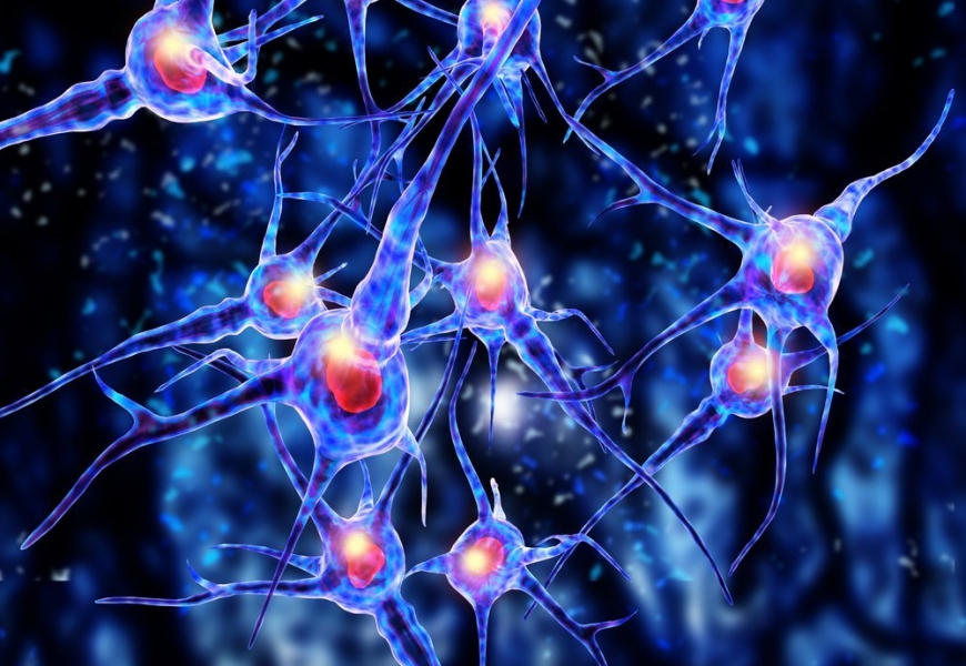 Робот-лаборант вместе с учеными будет выращивать нейроны из стволовых клеток