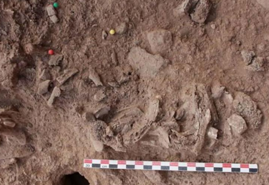 В Израиле найдены следы самого древней кремации людей