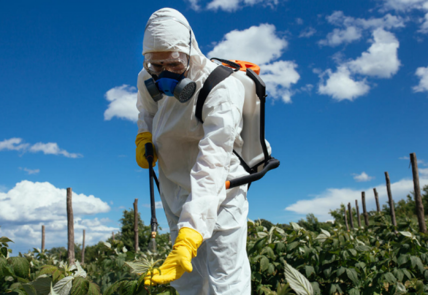 Компания Crop Enhancement разработала безопасные для насекомых пестициды