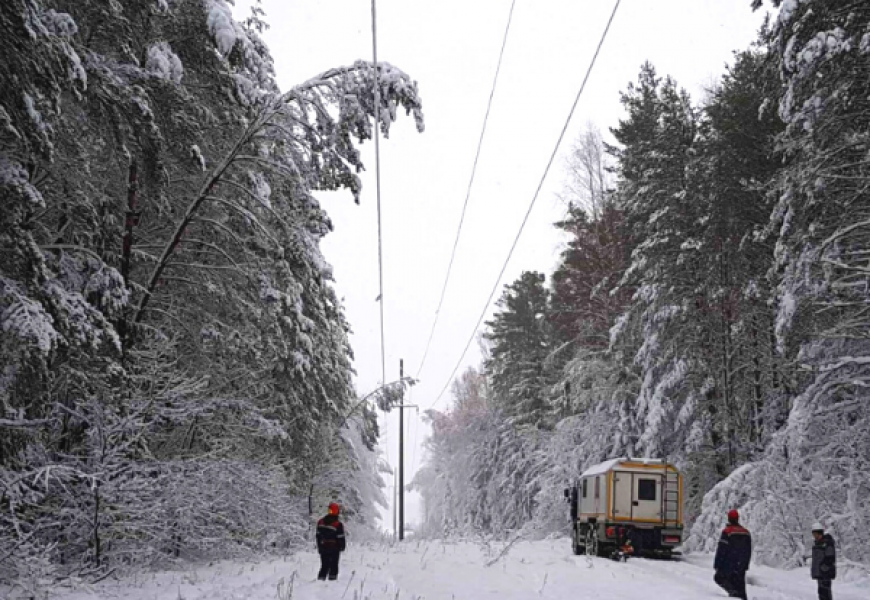 Циклон «Ларс» в Беларуси: 2200 населенных пунктов обесточены, поврежденные машины и подтопленные дома