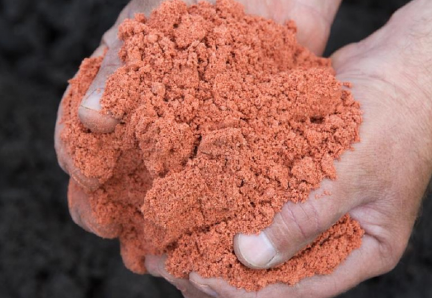 БКК договорилась о цене экспорта калийных удобрений в Китай