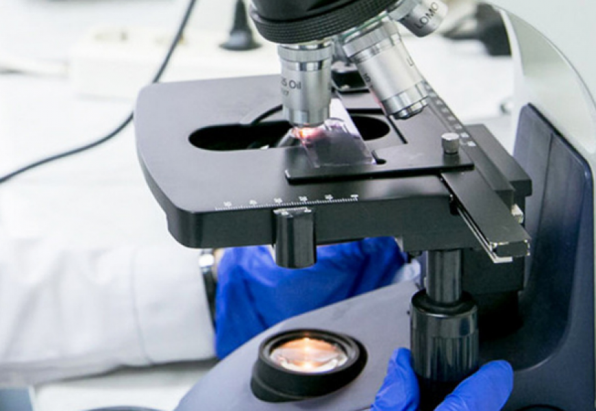 Ученые НАН Беларуси разрабатывают новые технологии для борьбы с COVID-19