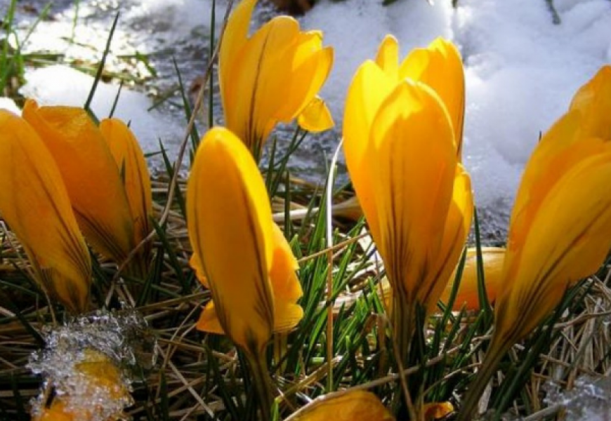 Что в Беларуси поменяется с 1 марта 2021 года