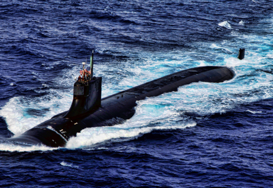 Американская субмарина подверглась нападению клопов
