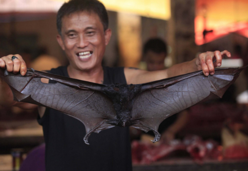 ВОЗ не нашла доказательств причастности рынка в Ухане к пандемии COVID-19