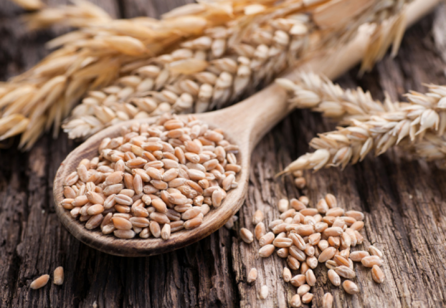 Из Беларуси запрещено вывозить гречиху, рожь, кукурузу и иные злаки