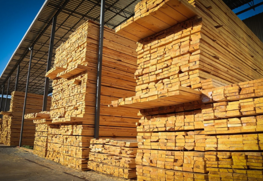 Стоимость пиломатериалов на мировом рынке растет: в чем причина?