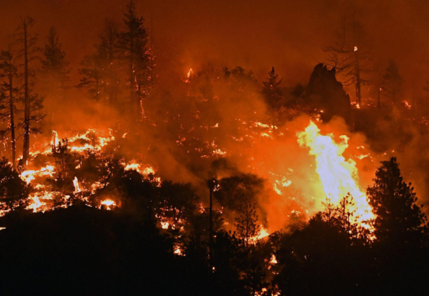Аномальная жара в Канаде привела к пожарам и гибели более 500 человек